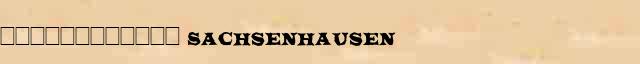 ������������ (Sachsenhausen) ������ � ������� ����������������� �������� ������� 